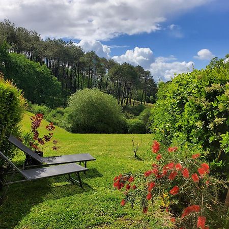 Appartement Calme Avec Jardin Bidart Biarritz Екстериор снимка
