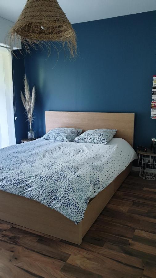 Appartement Calme Avec Jardin Bidart Biarritz Екстериор снимка