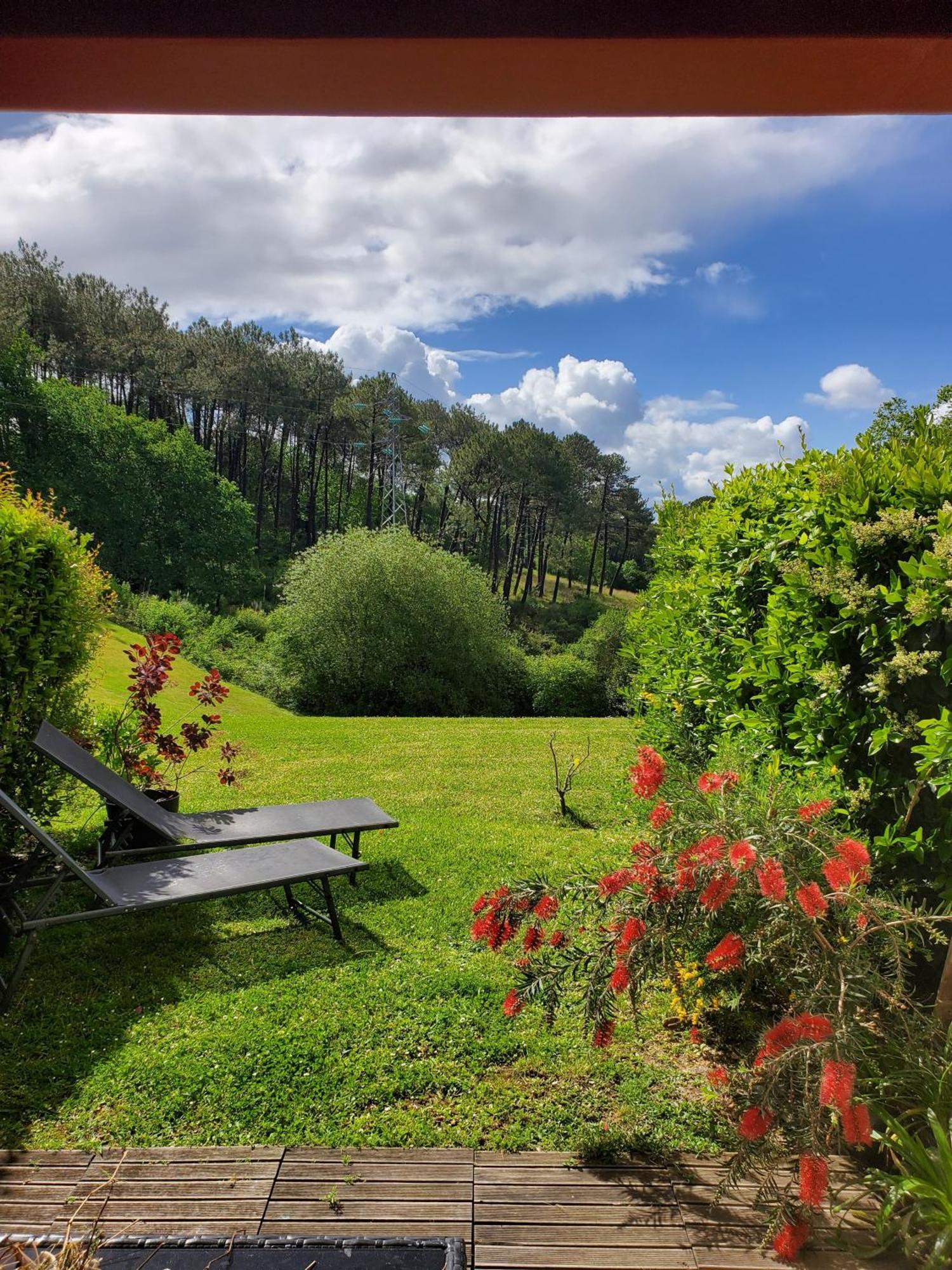 Appartement Calme Avec Jardin Bidart Biarritz Екстериор снимка